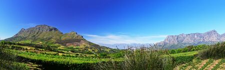 Fantastic landscape around Stellenbosch in the Cape wine countryの写真素材