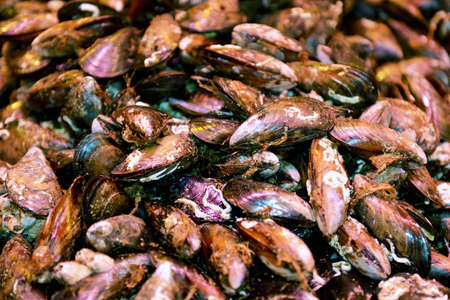 Mercat de la Boqueria in Barcelona, Spain Famous, lively public market that leaves nothing to be desired, offering meat, fish, fruit, vegetables and other foodsの写真素材