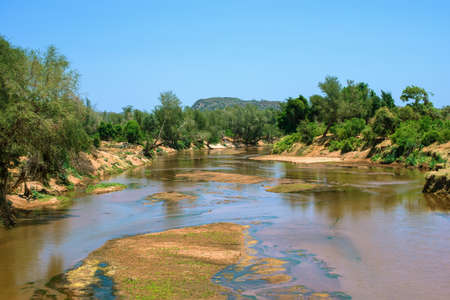 Landscape of the Kruger National Park in South Africa. The Kruger Park is located in the flat Lowveld, the central part at an average height of 250 m above sea level.の写真素材