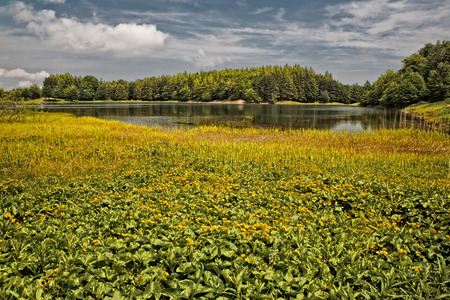 Calamone, the lake also called Lake Ventasso, is located on the north west of Mount Ventasso, in the municipality of Ramiseto in the province of Reggio Emiliaの写真素材