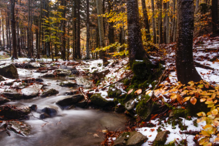 Small stream in the woods during autumnの写真素材