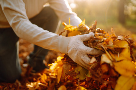 Close Up Of a male hand Raking Autumn Leaves In Garden. autumn garden works.の写真素材