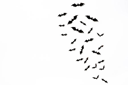 halloween and decoration concept - black 3d paper bats flying over white background.の写真素材