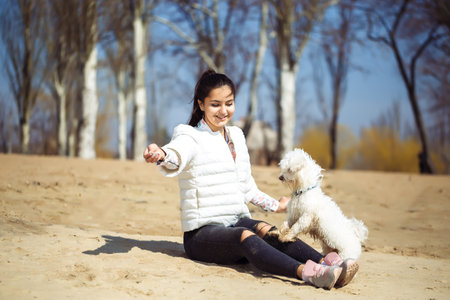 Beautiful european young woman playing with dog outdoors in the park. sunny day. sand beach.の写真素材