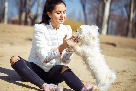 Beautiful european young woman playing with dog outdoors in the park. sunny day. sand beach.の写真素材