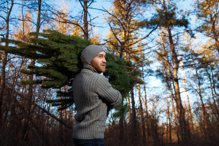 Young man is carrying christmas tree in the wood. men with a beard bears home a Christmas tree.の写真素材