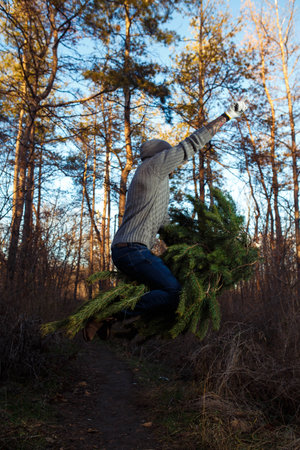 Young man is carrying christmas tree in the wood. men with a beard bears home a Christmas tree.の写真素材