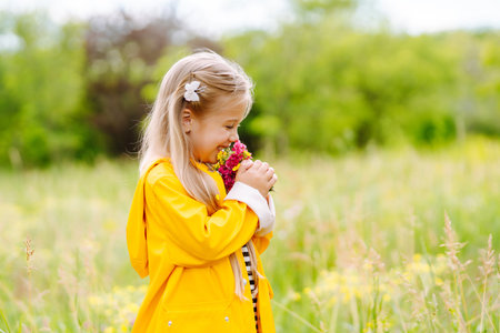 Cute little girl picking wildflowers in the meadow. A child explore nature.の写真素材