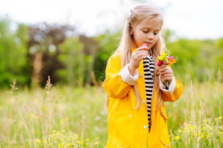 Cute little girl picking wildflowers in the meadow. A child explore nature.の写真素材