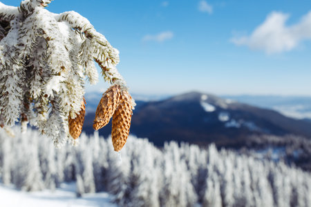 beautiful view of the mountains from a high point. Concept of travel, freedom, beauty of nature.の写真素材
