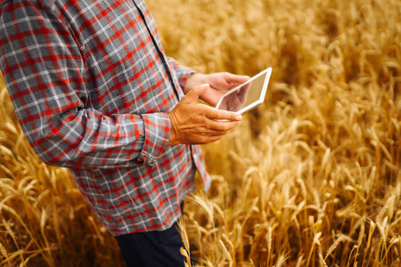 Farmer in the hat checking wheat field progress, holding tablet using internet. digital agriculture.の写真素材