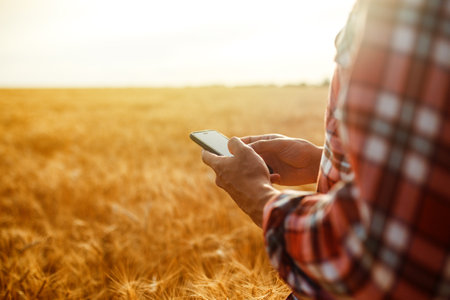 Farmer Checking Wheat Field Progress, Holding Phone and Using Internet . Idea Of A Rich Harvest