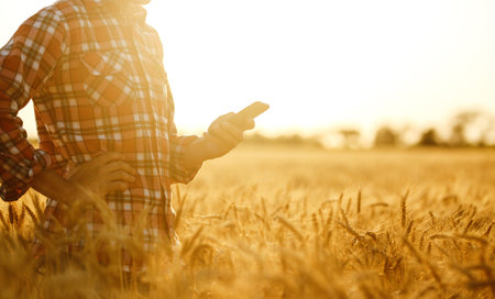 Amazing view with Man With His Back To The Viewer In A Field Of Wheat Touched By The Hand Of Spikes.の写真素材