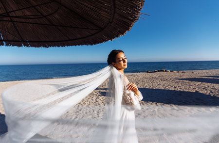Beautiful bride in fashion wedding dress with a long luxury veil. The stunning young bride is incredibly happy.の写真素材