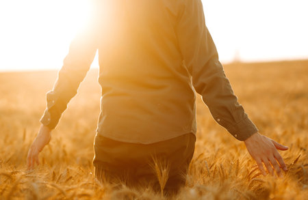 Man in medical mask with his back to the viewer In a field of wheat touched by the hand. Agro business. harvesting.の写真素材