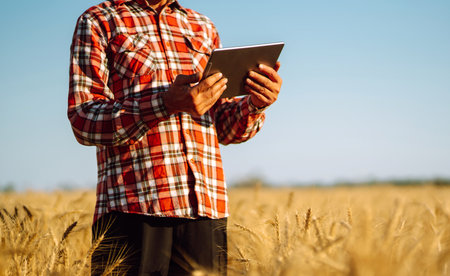 Tablet in the hands of a farmer. smart farm. Farmer checking his crops on an agricultural field.の写真素材