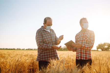 Two farmers in sterile medical masks with a tablet in their hands in a wheat field during pandemic.の写真素材