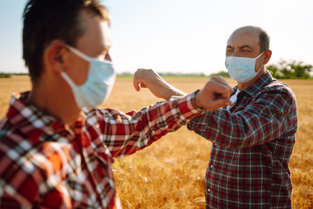 Farmers in sterile medical masks on his face greet their elbows on a wheat field. Elbow bump.の写真素材