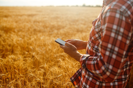 Farmer Checking Wheat Field Progress, Holding Phone and Using Internet . Idea Of A Rich Harvest