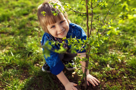 little boy helping his father to plant the tree while working together in the garden.の写真素材