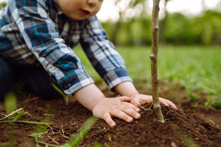 Planting a family tree. Little boy helping his grandfather to plant the tree while working together.の写真素材