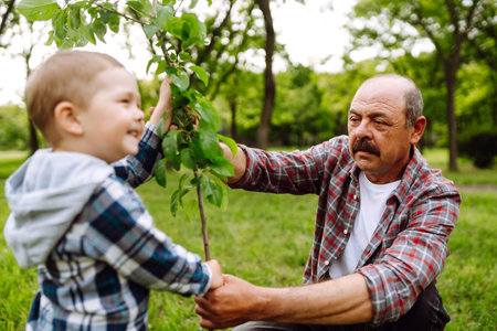 Planting family tree. Little boy helping his grandfather to plant tree while working together.の写真素材