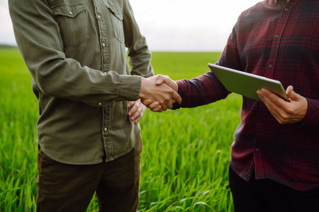 Two farmers making agreement with handshake in green wheat field. agricultural business.の写真素材