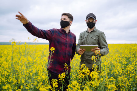 Farmers with tablets in the field. Farmers in medical masks discuss agricultural issues on the field.の写真素材
