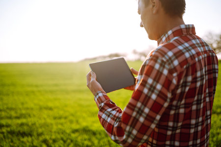 Farmer on a green wheat field with a tablet in his hands. Farmer checking his crops on an agricultural.の写真素材