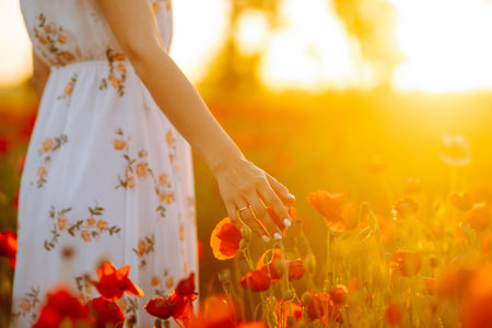 Woman hand touching poppy flowers in the field at sunset.の写真素材