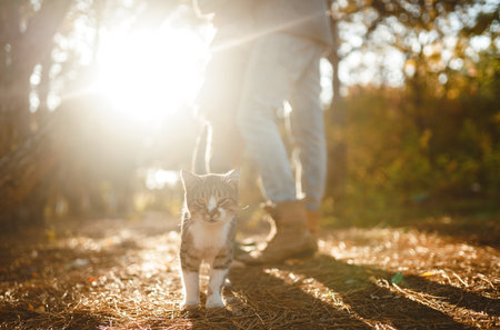 Lovely hipster couple with cat. Couple wearing beautiful hats and sweaters. lifestyle.の写真素材