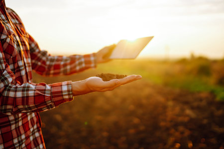 Hand of expert farmer collect soil and checking soil health before growth a seed of vegetable.の写真素材