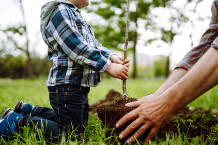 Planting a family tree. Hands of grandfather and little boy planting young tree in the garden.の写真素材