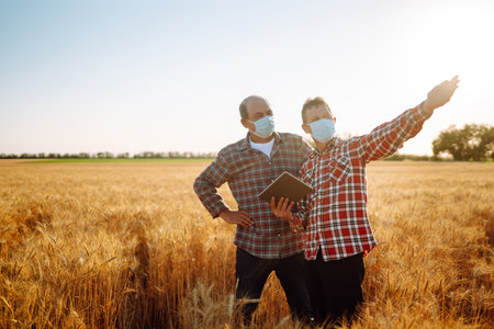 Farmers in sterile medical mask using digital tablet in field of wheat. harvesting concept.の写真素材