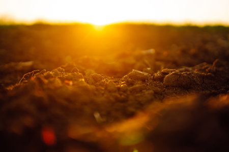 Plowed field at sunset. Agriculture, soil before sowing. Fertile land texture, rural field landscapeの写真素材