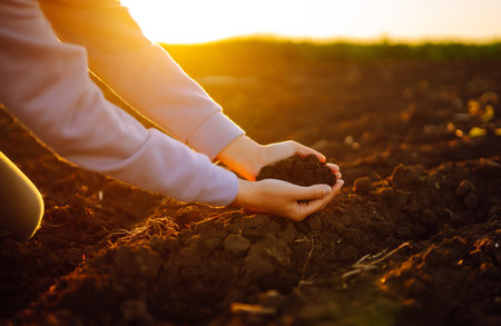Hand of expert farmer collect soil. Farmer is checking soil quality before sowing. agriculture.の写真素材