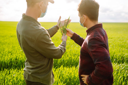 Two Farmers in protection mask with tablet in the field. Modern agriculture technology.Smart farmingの写真素材