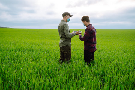 Two Farmers in protection mask with tablet in the field. Modern agriculture technology.Smart farmingの写真素材