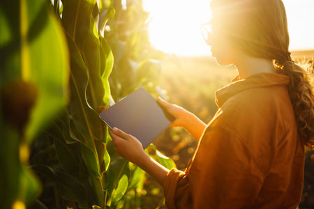 Smart farm Farmer female standing in corn field with tablet. Agriculture, gardening, ecology conceptの写真素材