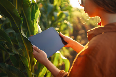 Smart farm Farmer female standing in corn field with tablet. Agriculture, gardening, ecology conceptの写真素材