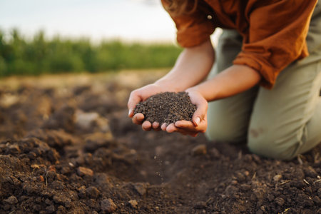 Female Hand of expert farmer collect soil and checking soil health before growth a seed of vegetable