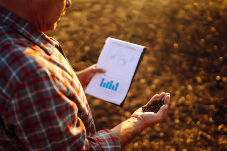Expert hand of farmer checking soil health before growth a seed of vegetable or plant seedling.