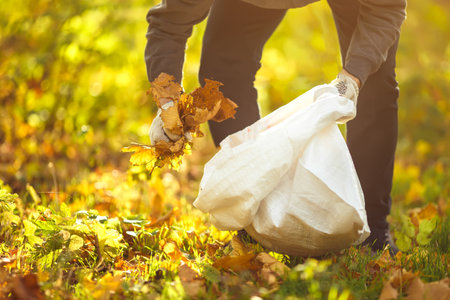 Young boy cleans fallen leaves. concept of purity. autumn leaves. outdoor. Gloves on his hands.の写真素材