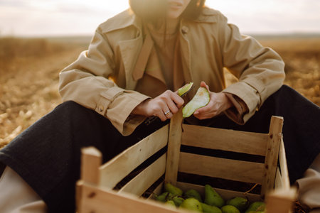 Beautiful woman taking pictures in the autumn field. autumn harvest.の写真素材