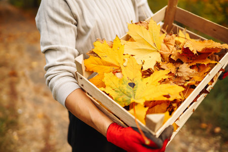 Man cleans autumn park from yellow leaves. Volunteering, cleaning concept. Seasonal gardening.