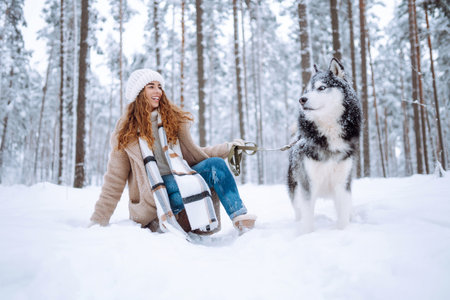 A cheerful husky dog walks with its owner in a snowy forest. Friendship concept, pets.の写真素材