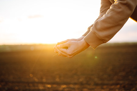 Farmer holding soil in hands close-up. Male hands touching soil on the field.. Agriculture, gardening.の写真素材