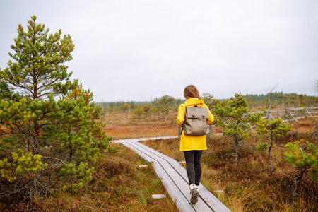 Woman traveler in a yellow coat walks along a wooden walking path along the wetlands. Back view.の写真素材