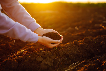 Hand of expert farmer collect soil. Farmer is checking soil quality before sowing. agriculture.の写真素材