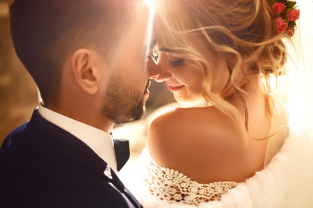 Bride, groom kisses tenderly in the shadow of a flying veil. Sexy kissing stylish couple of lovers.の写真素材